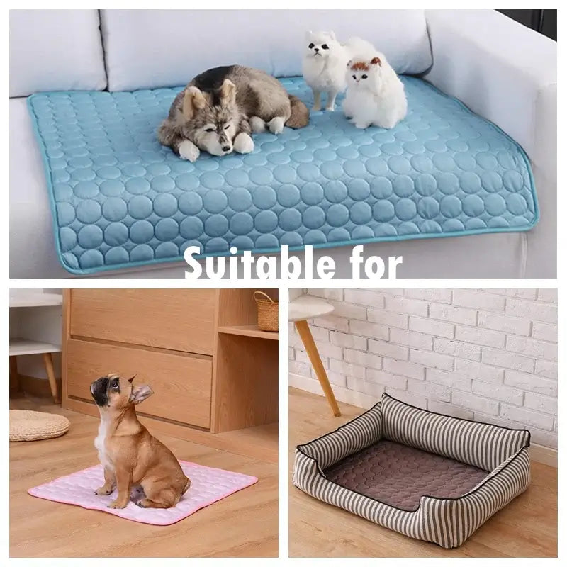 fachgo | Dog Mat Cooling Summer Pad Mat For Dogs Cat Blanket Sofa Breathable Pet Dog Bed Summer Washable For Small Medium Large Dogs Car