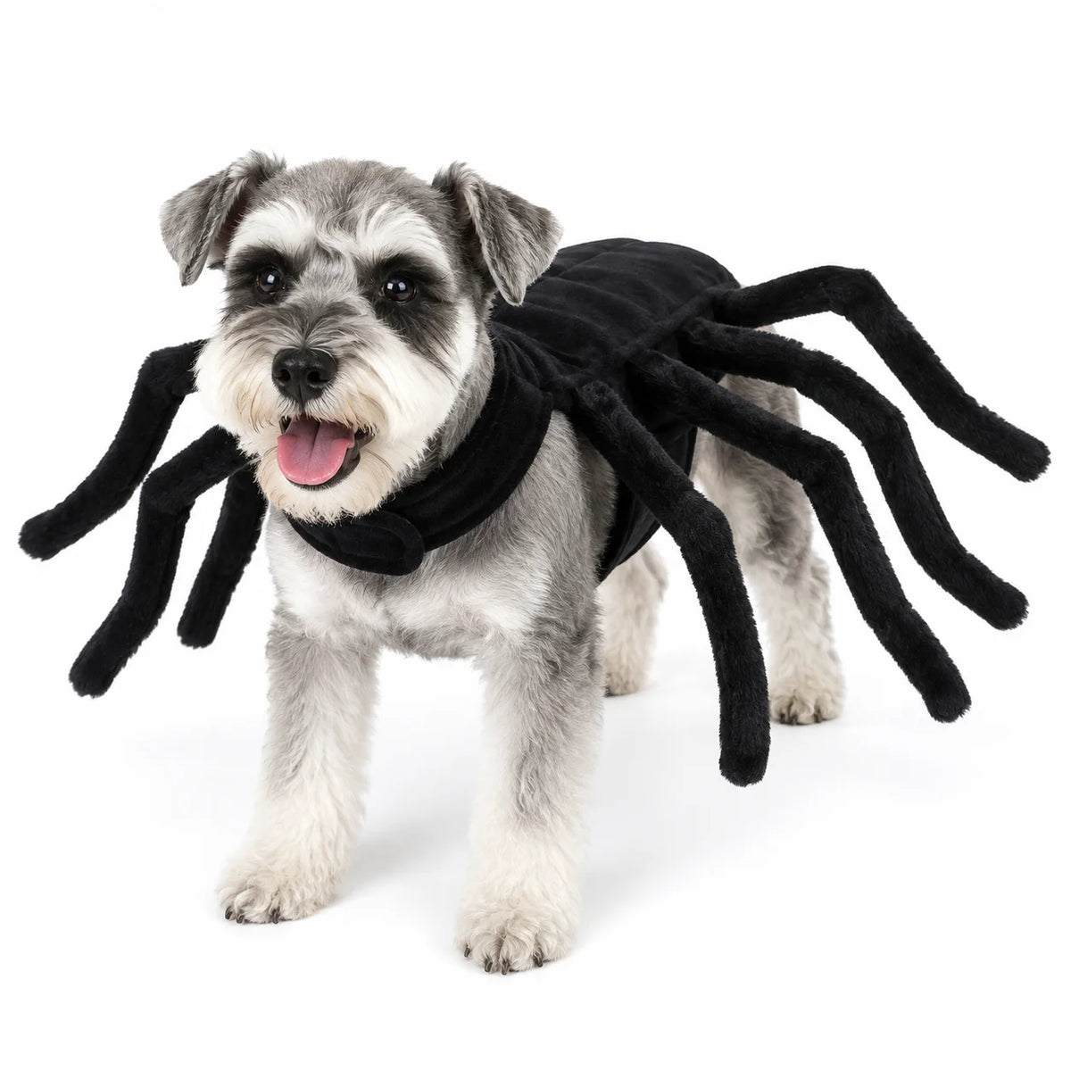 Halloween Spider Pet Costume for Cats Small Medium Dogs Funny Cosplay Outfit Puppy Party Dress Up Costume