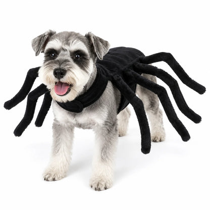 Halloween Spider Pet Costume for Cats Small Medium Dogs Funny Cosplay Outfit Puppy Party Dress Up Costume