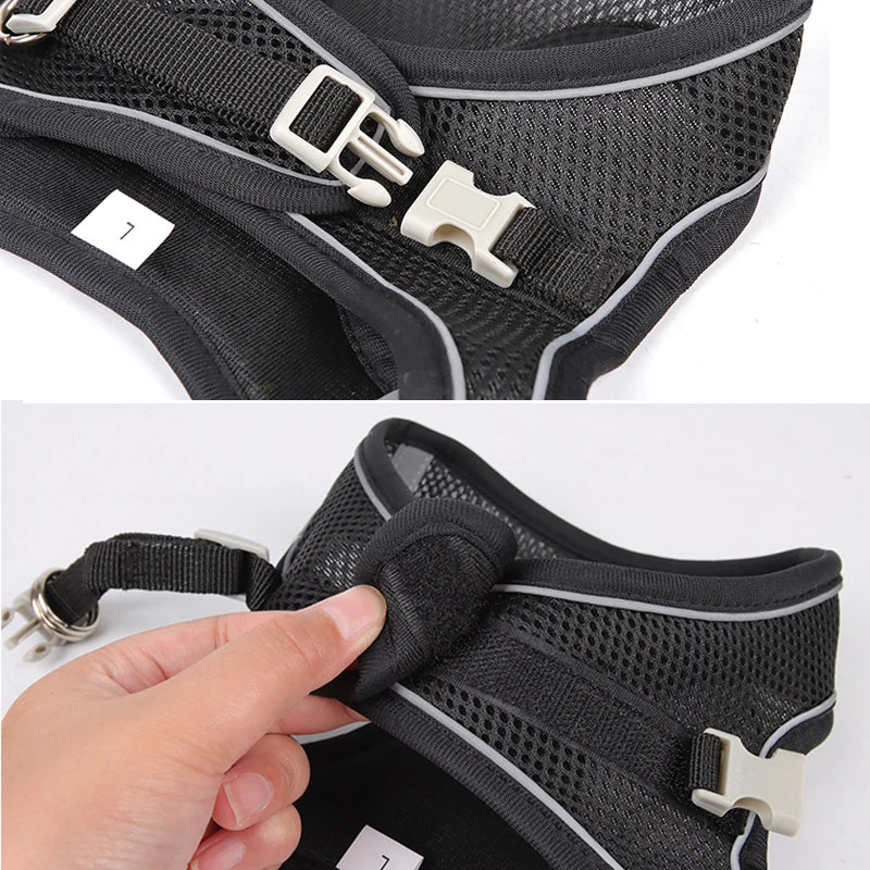 fachgo | Dog Harness Leash Set for Small Dogs Adjustable Puppy Cat Harness Vest French Bulldog Chihuahua Pug Outdoor Walking Lead Leash