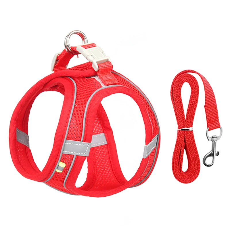 fachgo | Dog Harness Leash Set for Small Dogs Adjustable Puppy Cat Harness Vest French Bulldog Chihuahua Pug Outdoor Walking Lead Leash