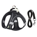 Adjustable Dog Harness & Leash Set for Small Dogs & Cats