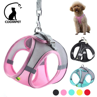 fachgo | Dog Harness Leash Set for Small Dogs Adjustable Puppy Cat Harness Vest French Bulldog Chihuahua Pug Outdoor Walking Lead Leash