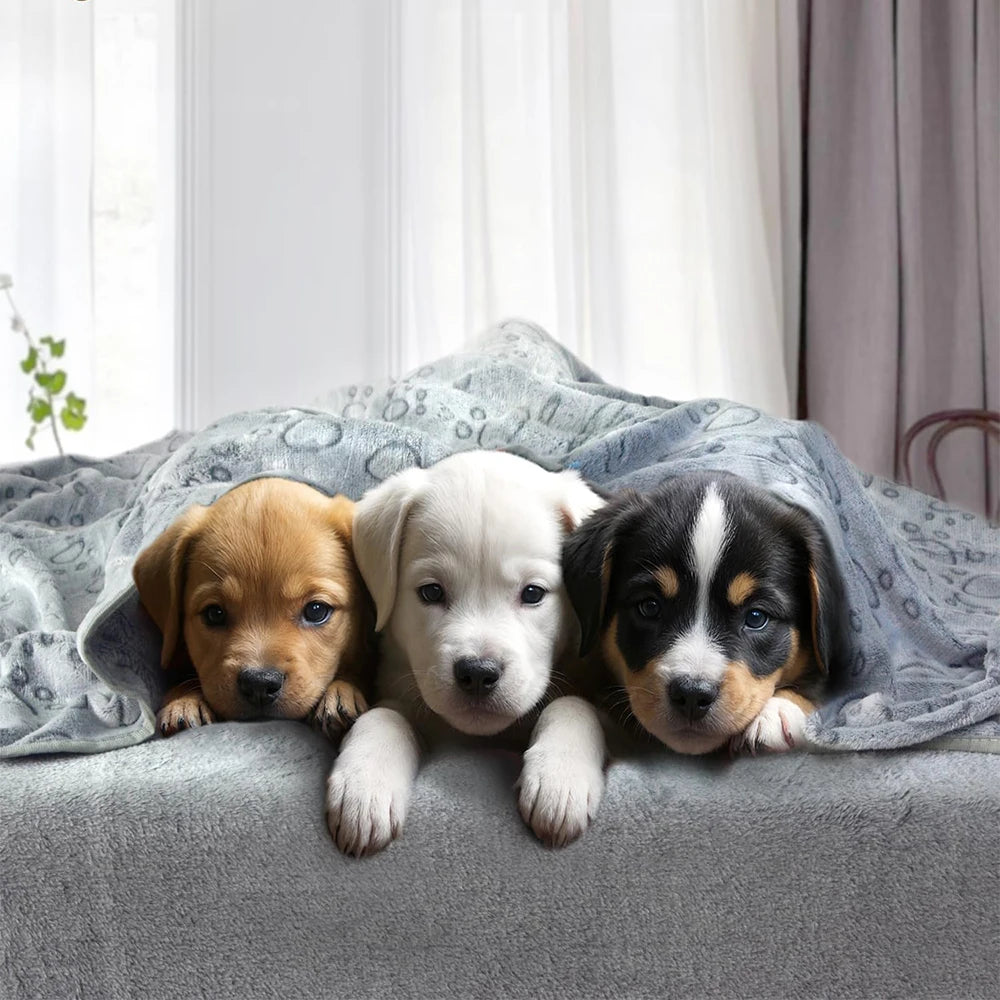 fachgo | 1pcs Ultra-Soft Paw Print Dog Blankets - Machine Washable, Cozy Pet Pillow Pads for Indoor & Outdoor Use - Ideal for Small to La