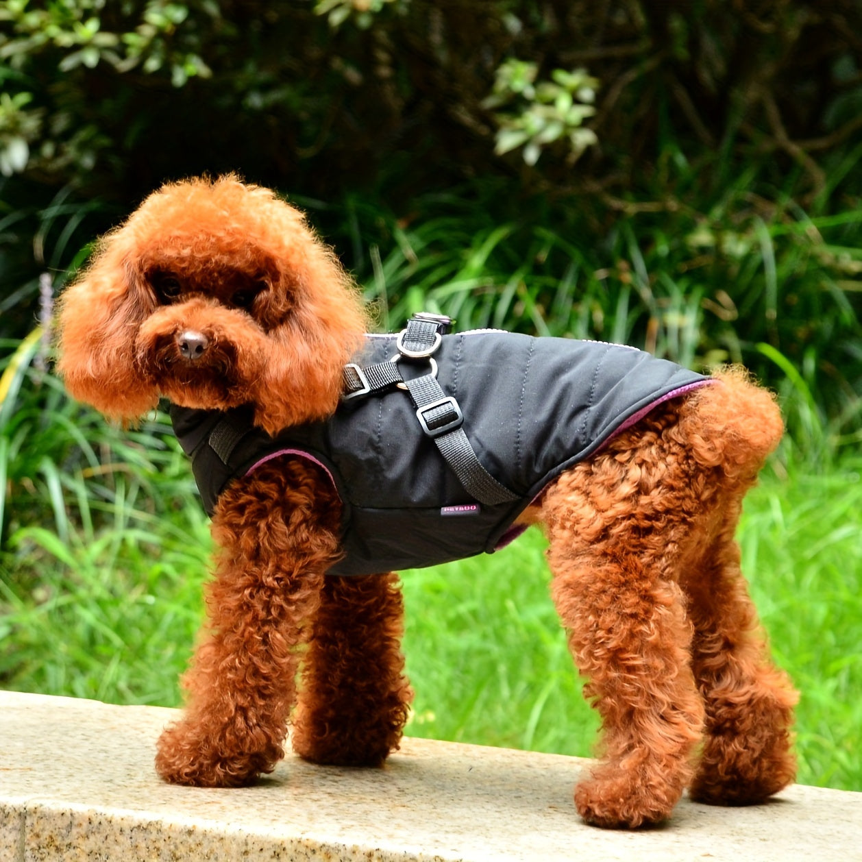 fachgo | Warm Padded Dog Vest with Harness for Small And Medium Dogs - Red Coat for Extra Comfort And Security Christmas Gift