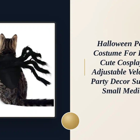 Halloween Pet Spider Costume for Dogs Cats Cute Cosplay Outfit Adjustable Velcro Funny Party Decor Supplies for Small Medium Pet by@Outfy