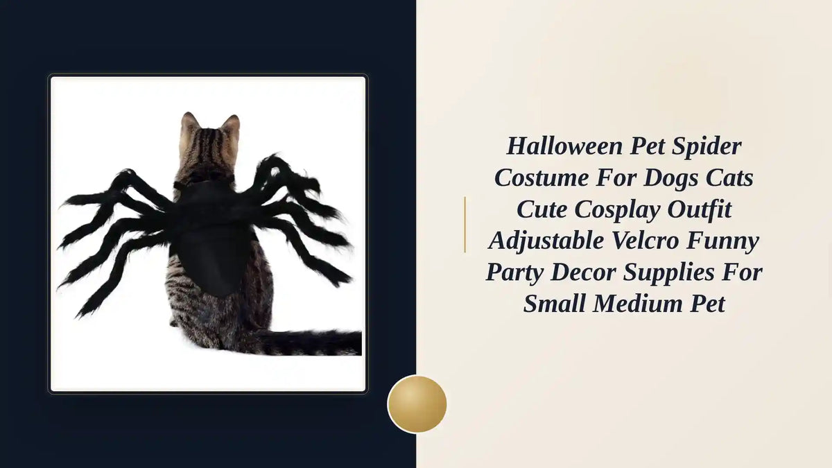 Halloween Pet Spider Costume for Dogs Cats Cute Cosplay Outfit Adjustable Velcro Funny Party Decor Supplies for Small Medium Pet by@Outfy
