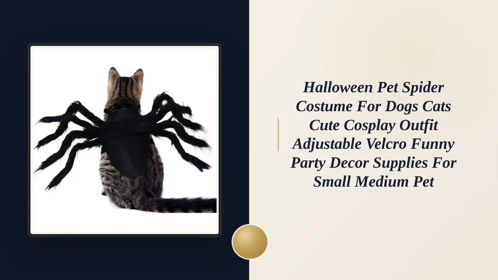 Halloween Pet Spider Costume for Dogs Cats Cute Cosplay Outfit Adjustable Velcro Funny Party Decor Supplies for Small Medium Pet by@Outfy