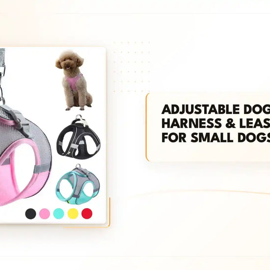 Adjustable Dog Harness &amp; Leash Set for Small Dogs &amp; Cats by@Outfy