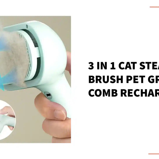 3 in 1 Cat Steam Brush Pet Grooming Comb Rechargeable by@Outfy