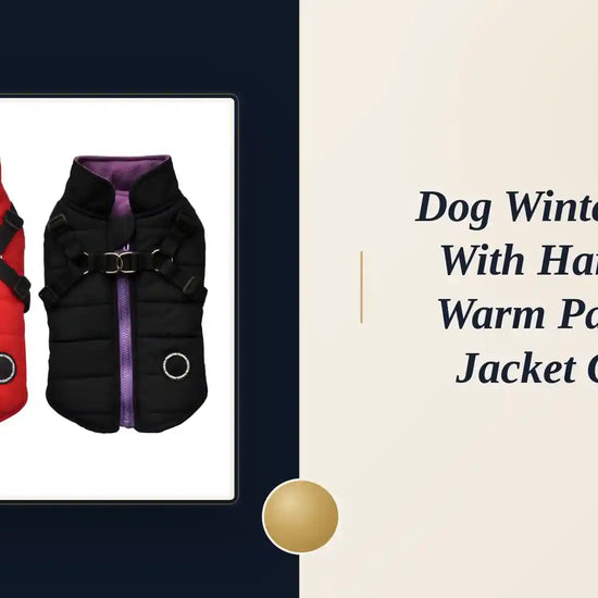 Dog Winter Vest with Harness Warm Padded Jacket Coat by@Outfy