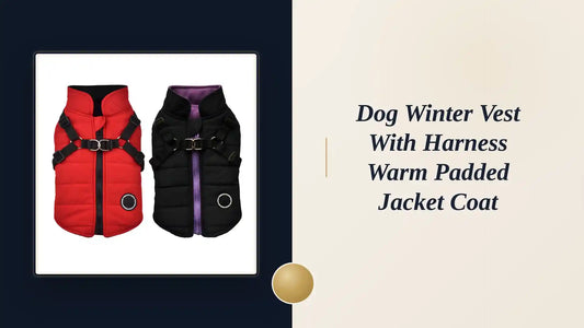 Dog Winter Vest with Harness Warm Padded Jacket Coat by@Outfy